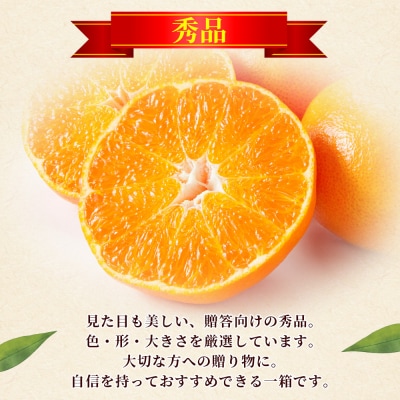 <秀品 甘平 (L～3Lサイズ) 約5kg>蜜柑 ミカン みかん 果物 柑橘 かんぺい 丸二青果