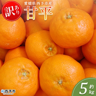 <訳あり 甘平 (サイズ混合) 約5kg>蜜柑 ミカン みかん 果物 丸二青果