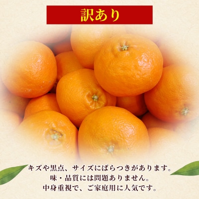 <訳あり 甘平 (サイズ混合) 約5kg>蜜柑 ミカン みかん 果物 丸二青果