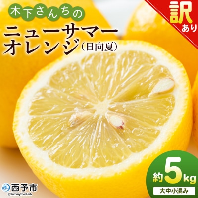 <木下さんちのニューサマーオレンジ 訳あり 約5kg>　訳アリ　柑橘 日向夏