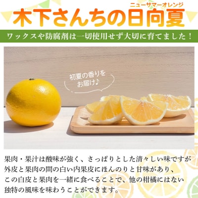 <木下さんちのニューサマーオレンジ 訳あり 約5kg>　訳アリ　柑橘 日向夏