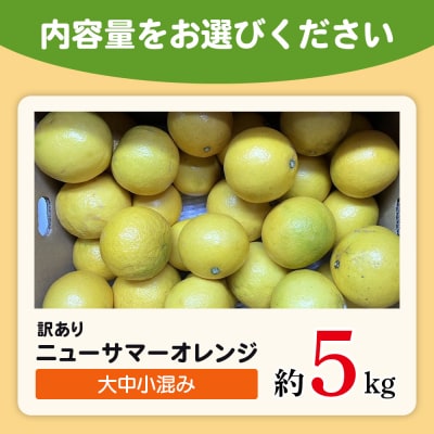 <木下さんちのニューサマーオレンジ 訳あり 約5kg>　訳アリ　柑橘 日向夏