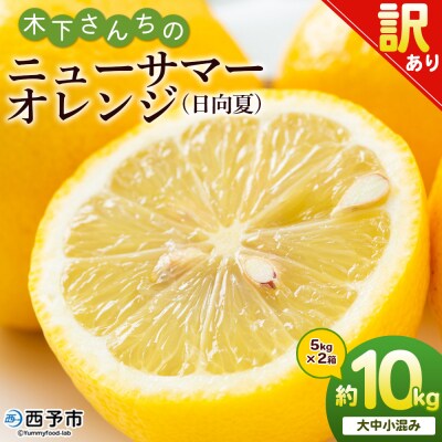 <木下さんちのニューサマーオレンジ 訳あり 約10kg(大中小サイズ混み)>　訳アリ　柑橘 日向夏