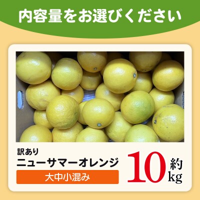 <木下さんちのニューサマーオレンジ 訳あり 約10kg(大中小サイズ混み)>　訳アリ　柑橘 日向夏
