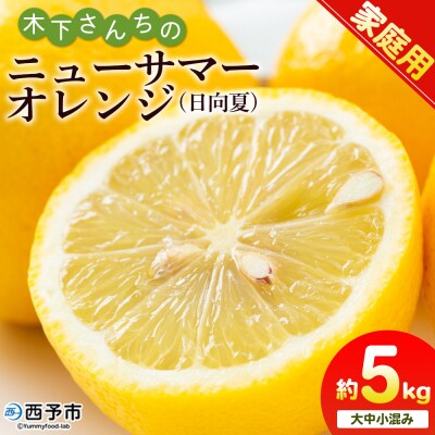 <木下さんちのニューサマーオレンジ 家庭用 約5kg>柑橘 日向夏フルーツ 国産