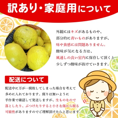 <木下さんちのニューサマーオレンジ 家庭用 約5kg>柑橘 日向夏フルーツ 国産