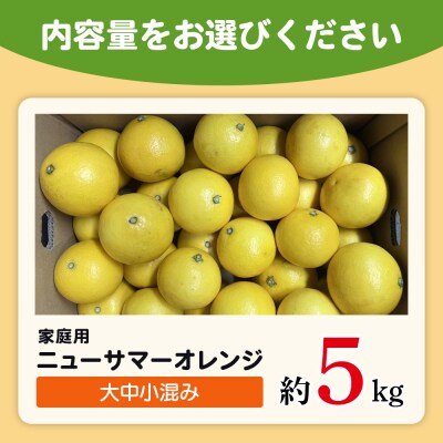 <木下さんちのニューサマーオレンジ 家庭用 約5kg>柑橘 日向夏フルーツ 国産