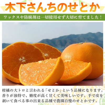 <木下さんちのせとか 訳あり 約3kg(S～3L大中小混み) 木下農園 >