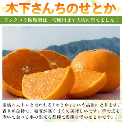 <木下さんちのせとか 訳あり 約3kg(S～3L大中小混み) 木下農園 >