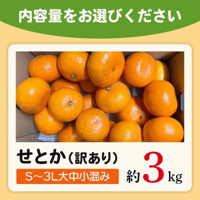 <木下さんちのせとか 訳あり 約3kg(S～3L大中小混み) 木下農園 >