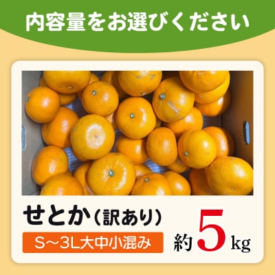 <木下さんちのせとか 訳あり 約5kg(S～3L大中小混み)木下農園>