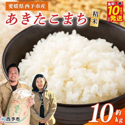 <令和7年産 西予市あきたこまち 精米 約10kgお米 米 コメ宇都宮米穀