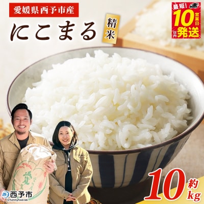 <令和7年産 西予市産 にこまる 精米 約10kg宇都宮米穀 ニコマル お米 米