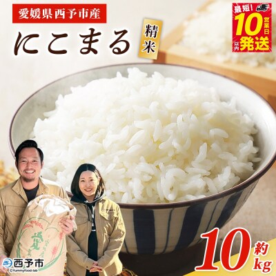 <令和8年産 西予市産 にこまる 精米 約10kg宇都宮米穀 ニコマル お米 米