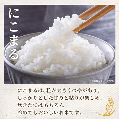 <令和8年産 西予市産 にこまる 精米 約10kg宇都宮米穀 ニコマル お米 米