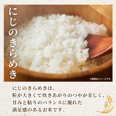 <令和7年産 西予市産 にじのきらめき 精米 約5kg宇都宮米穀お米 米