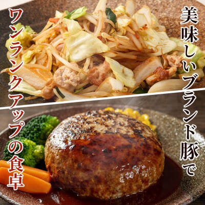 <愛媛県産 姫美豚 モモ肉 小間切れ&ミンチ肉セット 合計1.2kg(各600g)>木村屋精肉店 