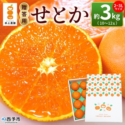 <せとか 約3kg 贈答用> 2~3L 10~12玉 柑橘 みかん laugh印 井上農園