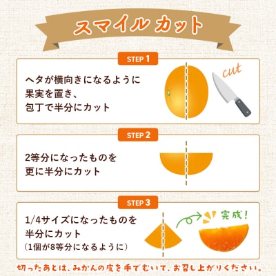 <せとか 家庭用 約2kg> 柑橘 みかん ミカン 蜜柑 果物 おれんじはーと 国産 大トロ