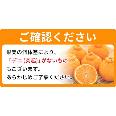<不知火 家庭用 約2kg> 柑橘 みかん ミカン 蜜柑 果物 くだものおれんじはーと