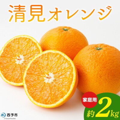 <清見オレンジ 家庭用 約2kg> 柑橘 みかん ミカン 蜜柑 果物 おれんじはーと