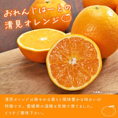 <清見オレンジ 家庭用 約2kg> 柑橘 みかん ミカン 蜜柑 果物 おれんじはーと