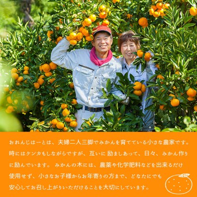 <清見オレンジ 家庭用 約2kg> 柑橘 みかん ミカン 蜜柑 果物 おれんじはーと