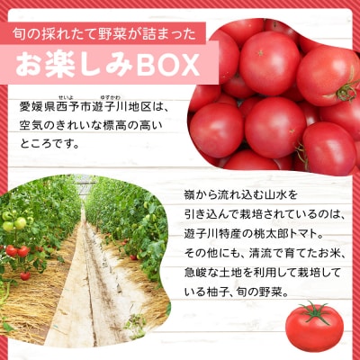 <旬の採れたて野菜が詰まったお楽しみBOX(3か月ごと年4回の定期便)>リコピンズ 