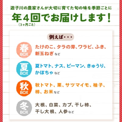 <旬の採れたて野菜が詰まったお楽しみBOX(3か月ごと年4回の定期便)>リコピンズ 