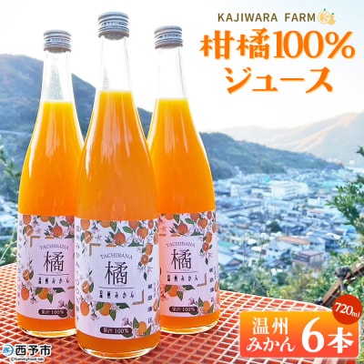 <柑橘100%ジュース (温州みかん6本 温州みかん)かじわらFARM