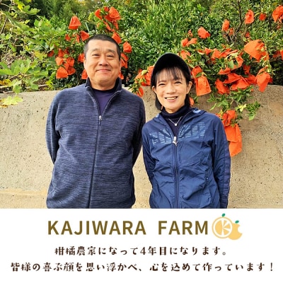 <柑橘100%ジュース (温州みかん6本 温州みかん)かじわらFARM