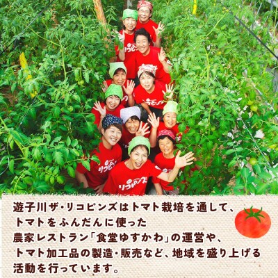 <桃太郎トマトの収穫体験(食堂ゆすかわのランチ付き)>トマト収穫 体験リコピンズ