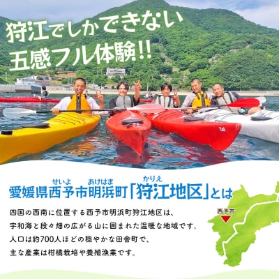 <狩江地区田舎暮らし体験チケット5,000円> 田舎 体験かりエンジョイ 愛媛県