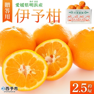 伊予柑 贈答用 約2.5kgギフト いよかん イヨカン 笑丸
