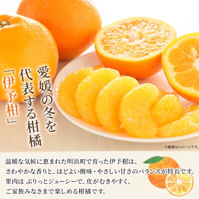 伊予柑 贈答用 約2.5kgギフト いよかん イヨカン 笑丸