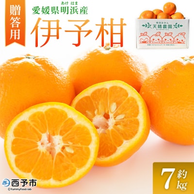 伊予柑 贈答用 約7kgギフト いよかん イヨカン 笑丸 愛媛 国産