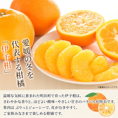伊予柑 贈答用 約7kgギフト いよかん イヨカン 笑丸 愛媛 国産