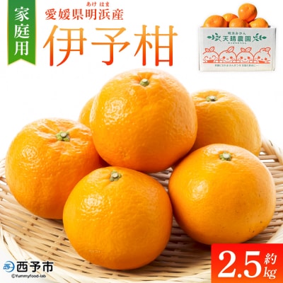 伊予柑 家庭用 約2.5kgギフト いよかん イヨカン 笑丸　愛媛 国産