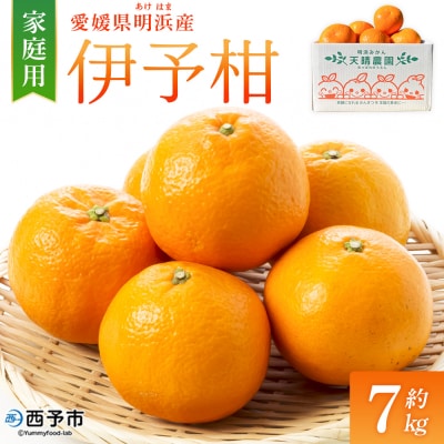 伊予柑 家庭用 約7kgギフト いよかん イヨカン 笑丸  愛媛 国産