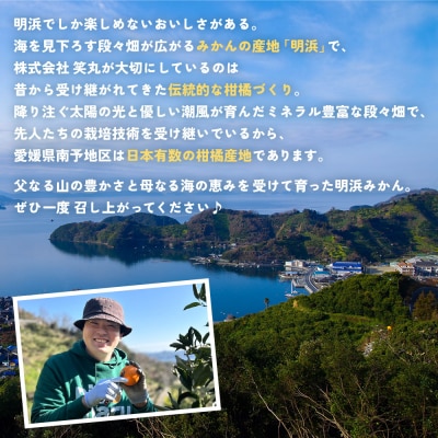 伊予柑 家庭用 約7kgギフト いよかん イヨカン 笑丸  愛媛 国産