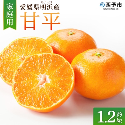 <甘平 家庭用 約1.2kg ご家庭用 かんぺい 高級 柑橘 ブランド 笑丸>