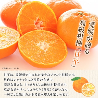 <甘平 家庭用 約1.2kg ご家庭用 かんぺい 高級 柑橘 ブランド 笑丸>