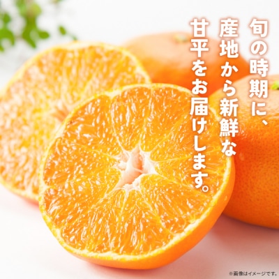 <甘平 家庭用 約1.2kg ご家庭用 かんぺい 高級 柑橘 ブランド 笑丸>