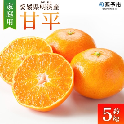 <甘平 家庭用 約5kg ご家庭用 かんぺい 高級 柑橘 ブランド 笑丸>