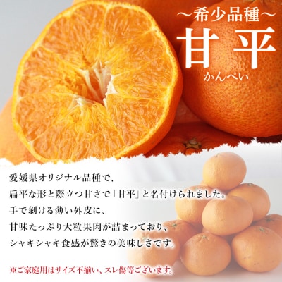 <愛媛県西予市産 甘平 家庭用 豊作 サンキューパック 約3.9kg> 訳あり ワケアリ 宇都宮物産