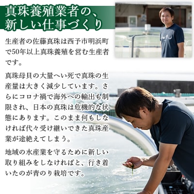 <【定期便6ヶ月】打ち抜き海水で育てた「すじ青のり」粉末3g×2パック>