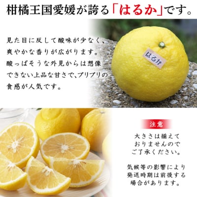 <愛媛県明浜産はるか(4kg)>　柑橘　特産品　果実　果物　フルーツ　西予市