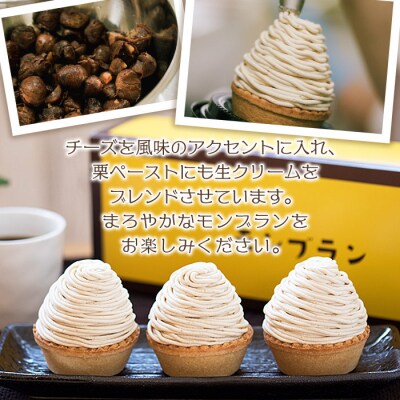 【定期便6ヶ月】<城川オリジナル モンブラン 2個>メニークエスト えひめ 栗 スイーツ