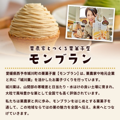【定期便6ヶ月】<城川オリジナル モンブラン 2個>メニークエスト えひめ 栗 スイーツ