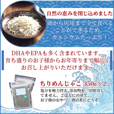 【定期便3ヶ月】<訳あり ちりめん700g>祇園丸 お徳用 えひめ 魚 しらす